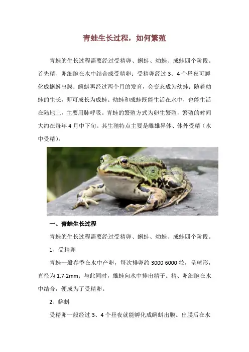 青蛙生长过程,如何繁殖