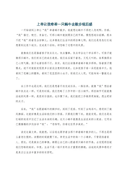 上帝让我牵着一只蜗牛去散步观后感
