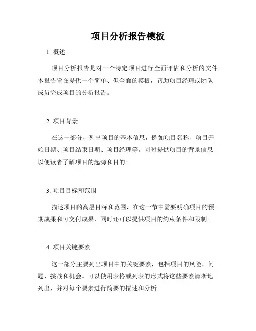 项目分析报告模板
