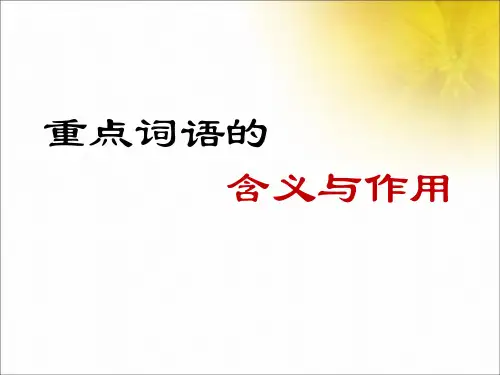 重点词语的含义与作用