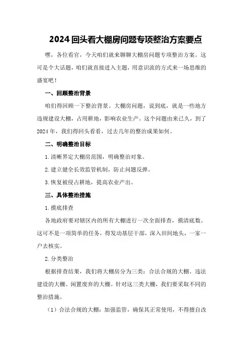 2024回头看大棚房问题专项整治方案要点