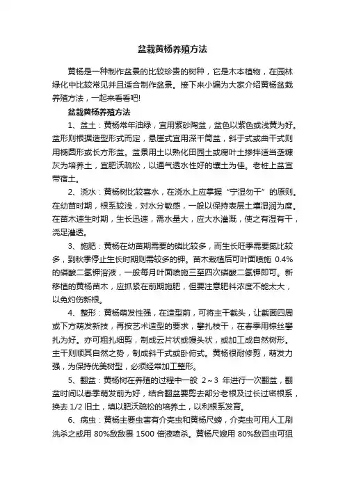 盆栽黄杨养殖方法