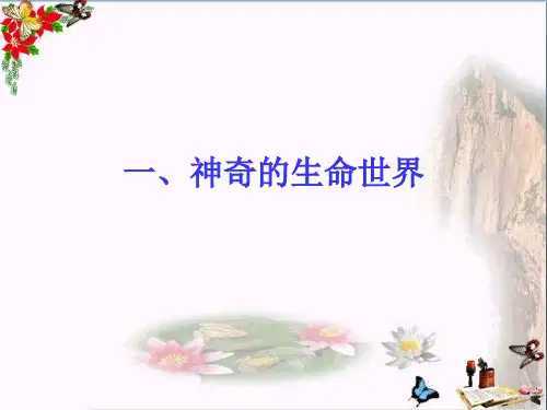 (人民版)神奇的生命世界 教学PPT课件