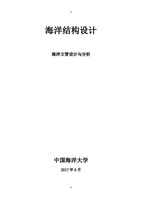 海洋结构设计-海洋立管设计与分析