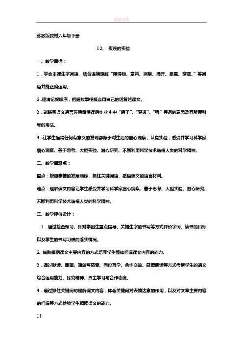 六下12夜晚的实验