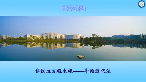 非线性方程求根—牛顿迭代法(新)