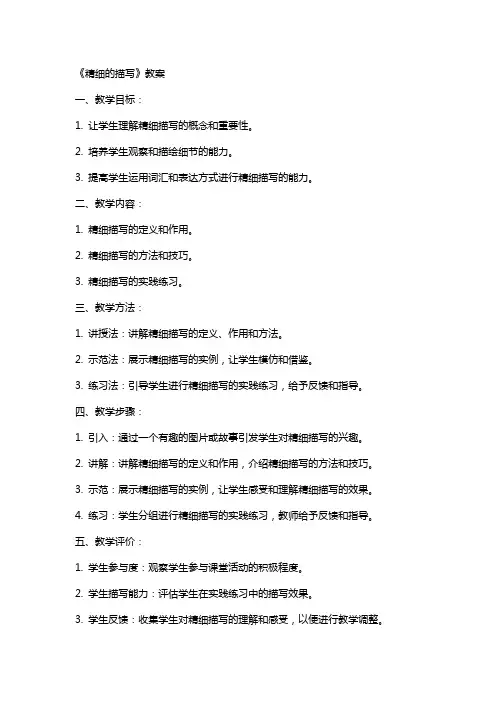 《精细的描写》教案
