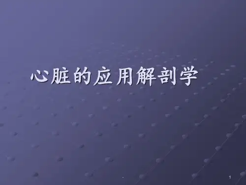 心脏解剖学ppt课件