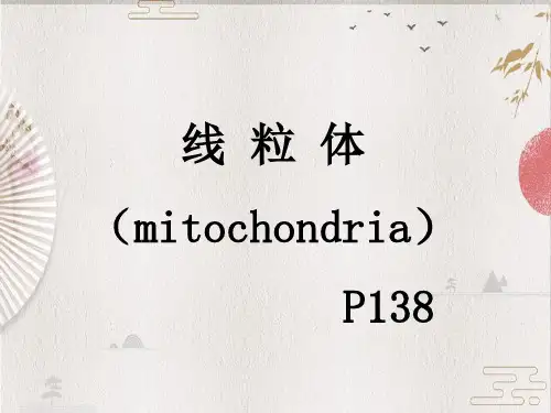 【细胞生物学】06-线粒体的结构功能与遗传(36)