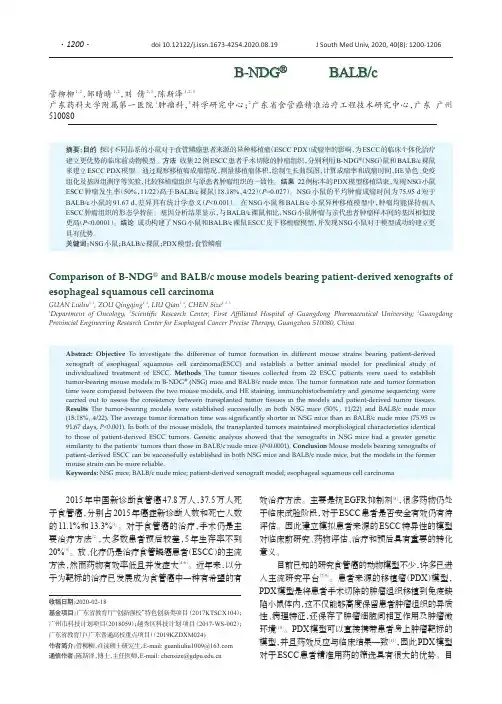 食管鳞癌患者来源移植瘤模型B-NDG小鼠与BALBc裸鼠的比较