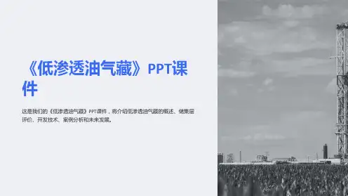 《低渗透油气藏》课件