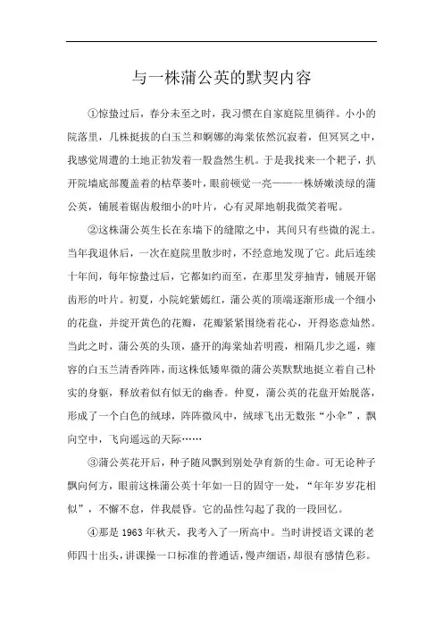 与一株蒲公英的默契内容