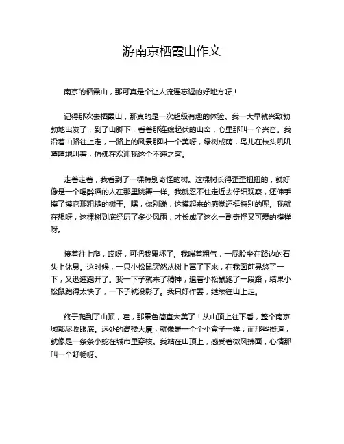 游南京栖霞山作文