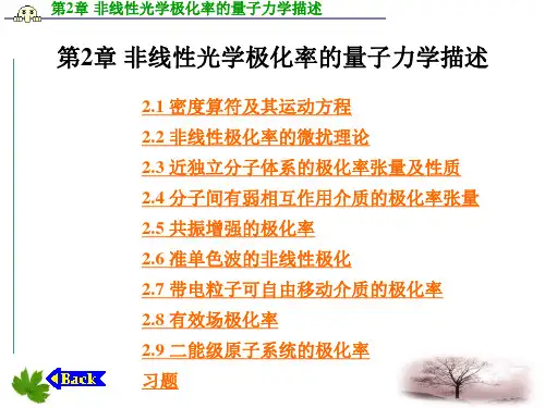 第2章 非线性光学极化率的量子力学描述n