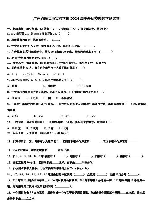 广东省廉江市实验学校2024届小升初模拟数学测试卷含解析