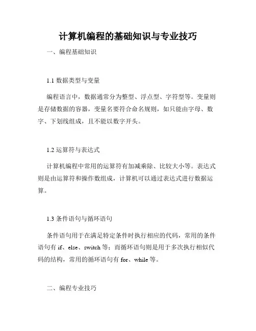 计算机编程的基础知识与专业技巧