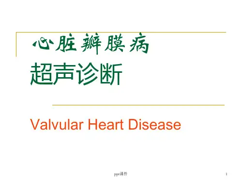 心脏瓣膜病超声诊断  ppt课件