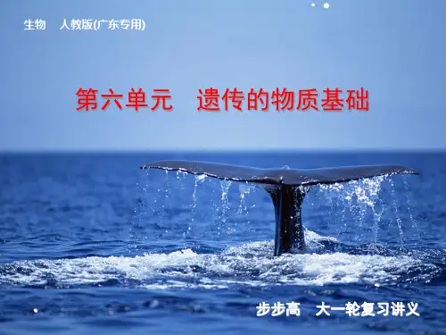 高三生物一轮复习 DNA是主要的遗传物质