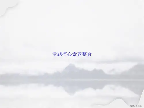 专题核心素养整合讲课文档