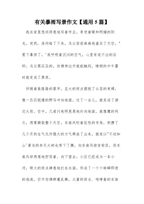 有关暴雨写景作文【通用5篇】