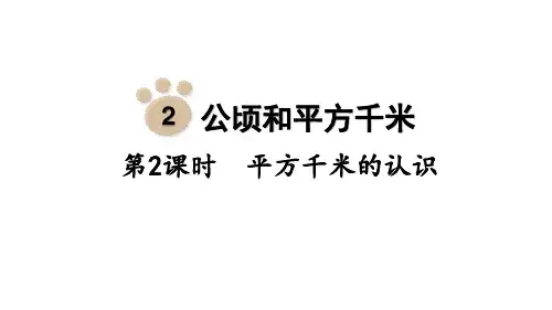 人教版小学四年级上册数学课件 第2单元 公顷和平方千米 (新课件) 第2课时 平方千米的认识