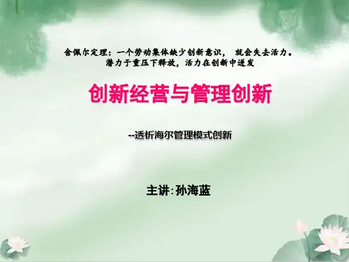 创新经营与管理创新培训讲座(ppt 101页)