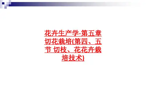 花卉生产学第五章 切花栽培第四、五节 切枝、花花卉栽培技术ppt课件