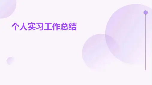 个人实习工作总结PPT