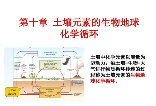 土壤磷循环