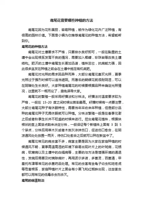 鸢尾花需要哪些种植的方法