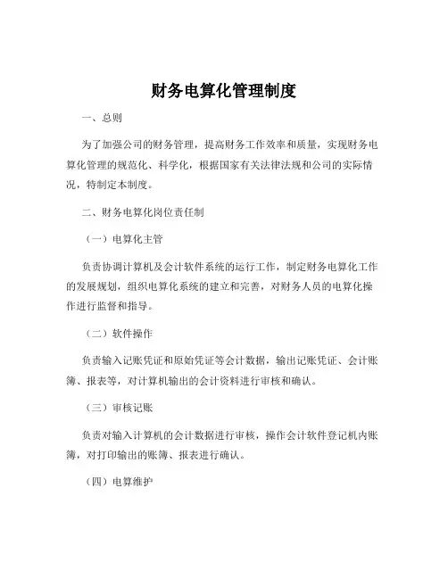 财务电算化管理制度