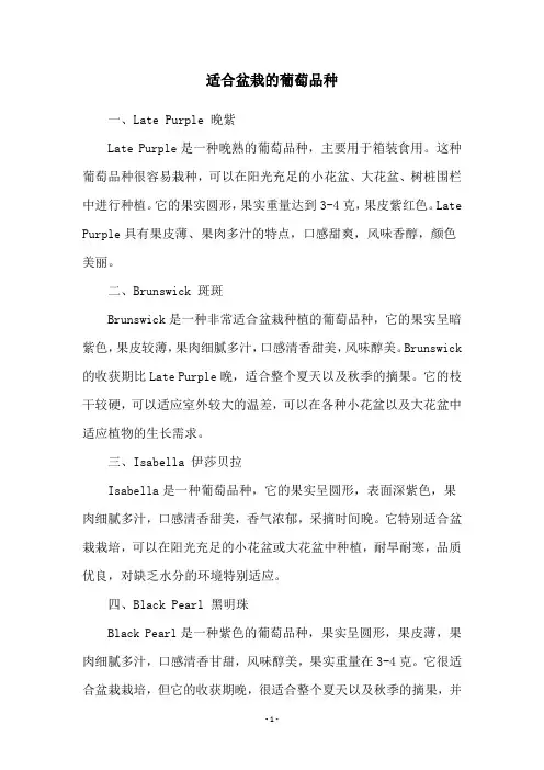 适合盆栽的葡萄品种