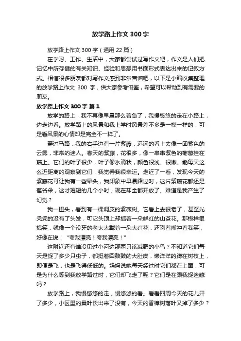 放学路上作文300字