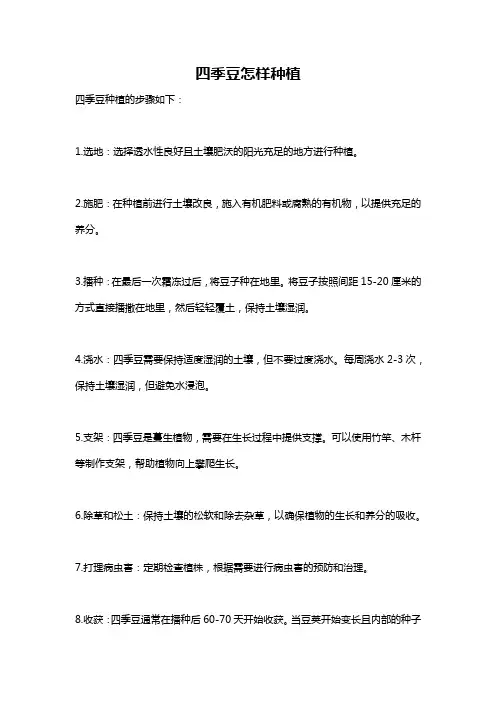 四季豆怎样种植