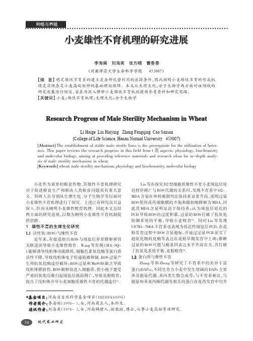 小麦雄性不育机理的研究进展