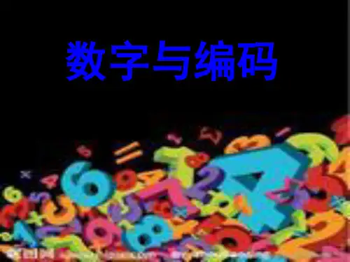 人教版五年级上册身份证编码