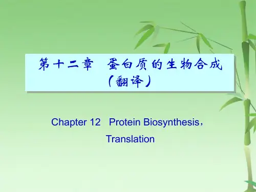 第十三章蛋白质的生物合成(共91张PPT)