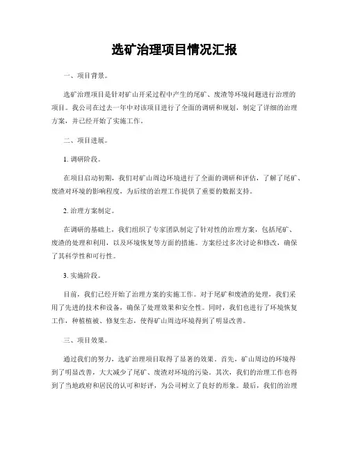 选矿治理项目情况汇报