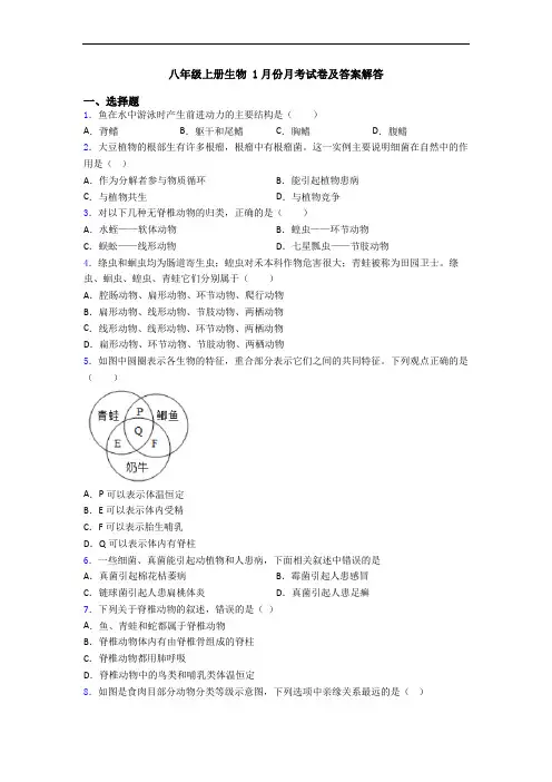 八年级上册生物 1月份月考试卷及答案解答