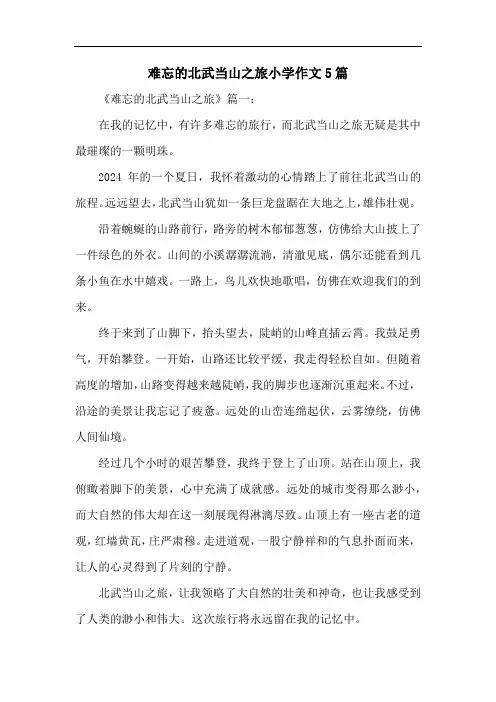 难忘的北武当山之旅小学作文5篇