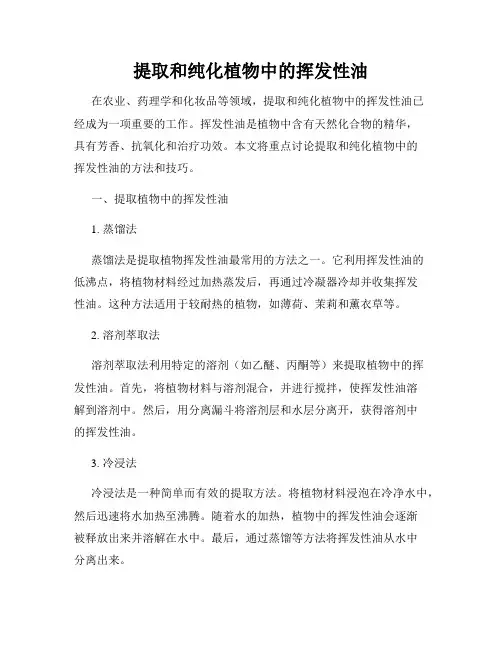 提取和纯化植物中的挥发性油