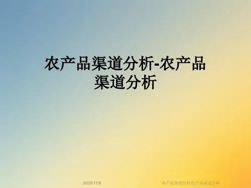 农产品渠道分析农产品渠道分析