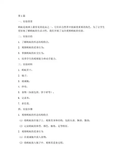 小学观察蚂蚁实验报告(3篇)