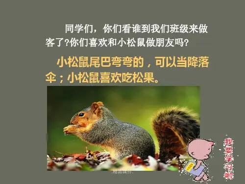 完整版人教版一年级语文下册《松鼠和松果》.ppt