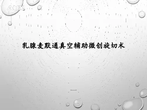 乳腺麦默通真空辅助微创旋切术PPT课件