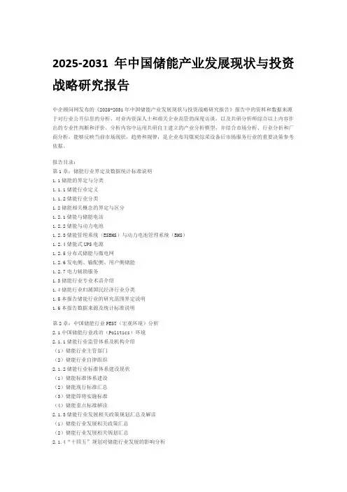 2025-2031年中国储能产业发展现状与投资战略研究报告