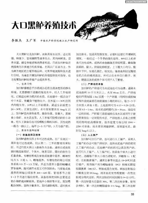 大口黑鲈养殖技术