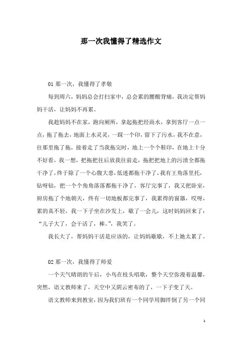 那一次我懂得了精选作文