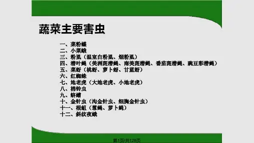 蔬菜常见害虫防治PPT课件
