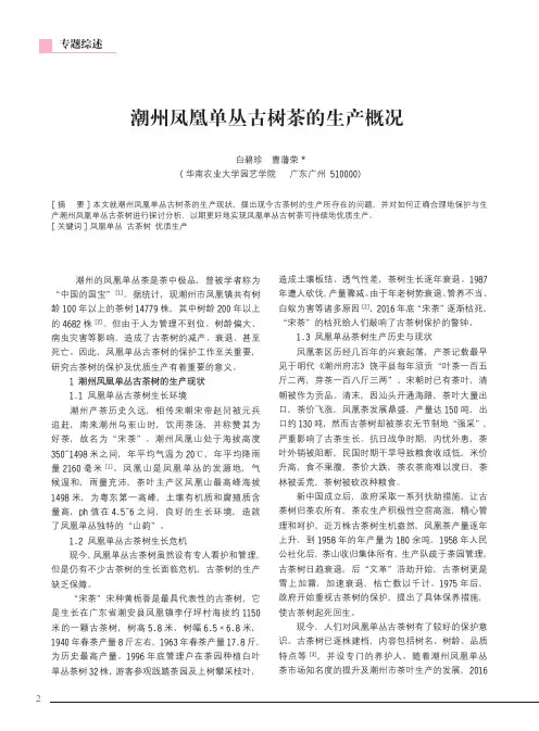 潮州凤凰单丛古树茶的生产概况